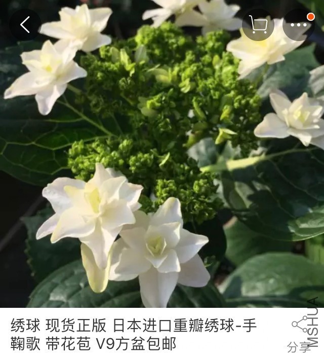 QQͼƬ20170524084853.jpg