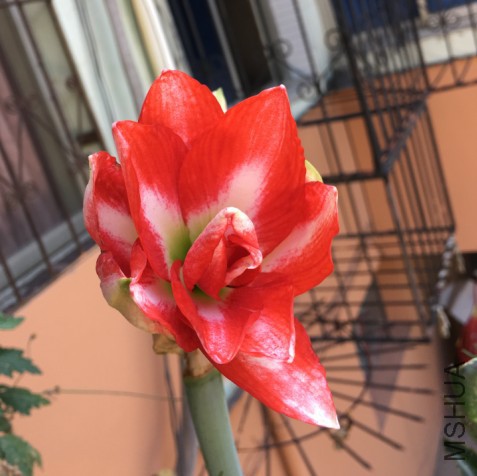 ��������ͼƬ20170524084740.jpg