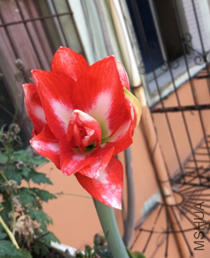 ��������ͼƬ20170524084811.jpg