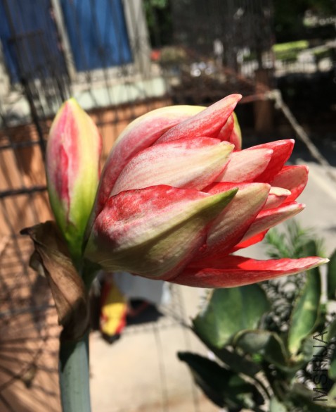 ��������ͼƬ20170524084725.jpg