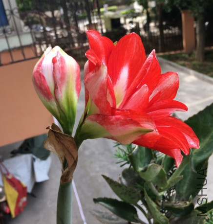 ��������ͼƬ20170524084844.jpg