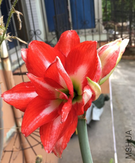 ��������ͼƬ20170524084901.jpg