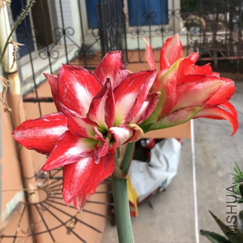 ��������ͼƬ20170524084948.jpg