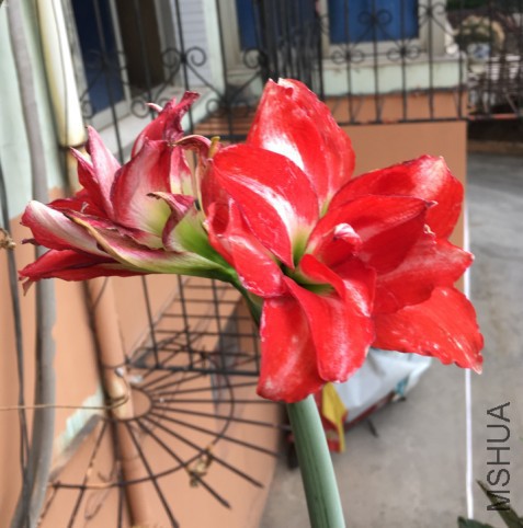 ��������ͼƬ20170524085009.jpg