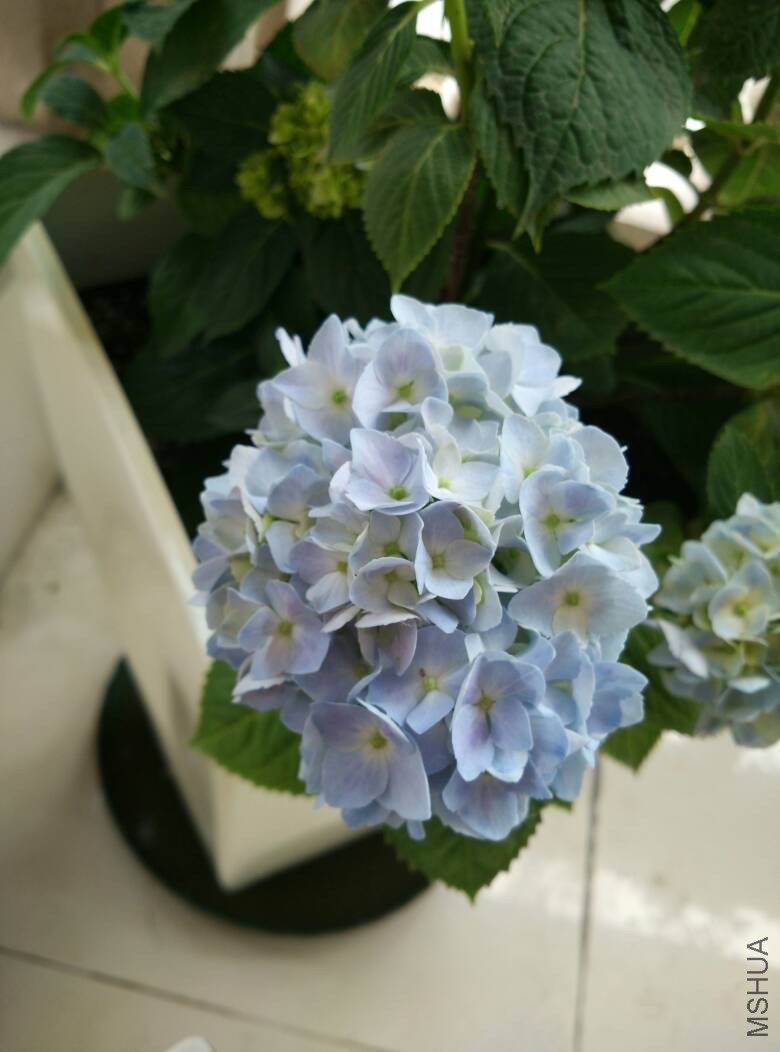 130408oz4zqfyl379wwan3.jpg