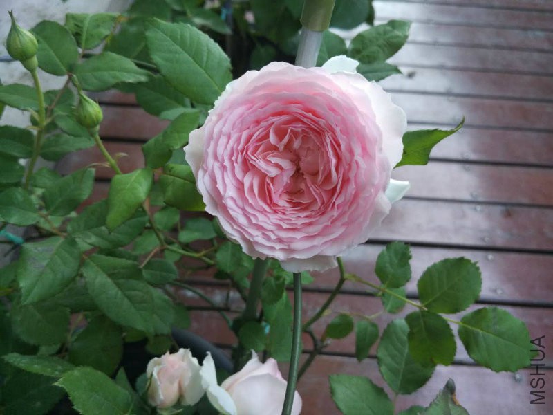 ���D��׼��