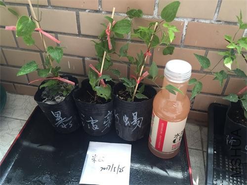 ΢��ͼƬ_20170525120603.jpg