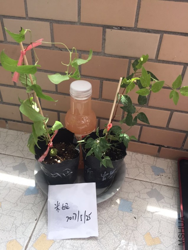 ΢��ͼƬ_20170525120605.jpg