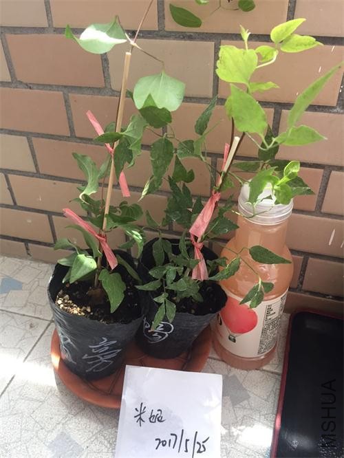 ΢��ͼƬ_20170525120609.jpg