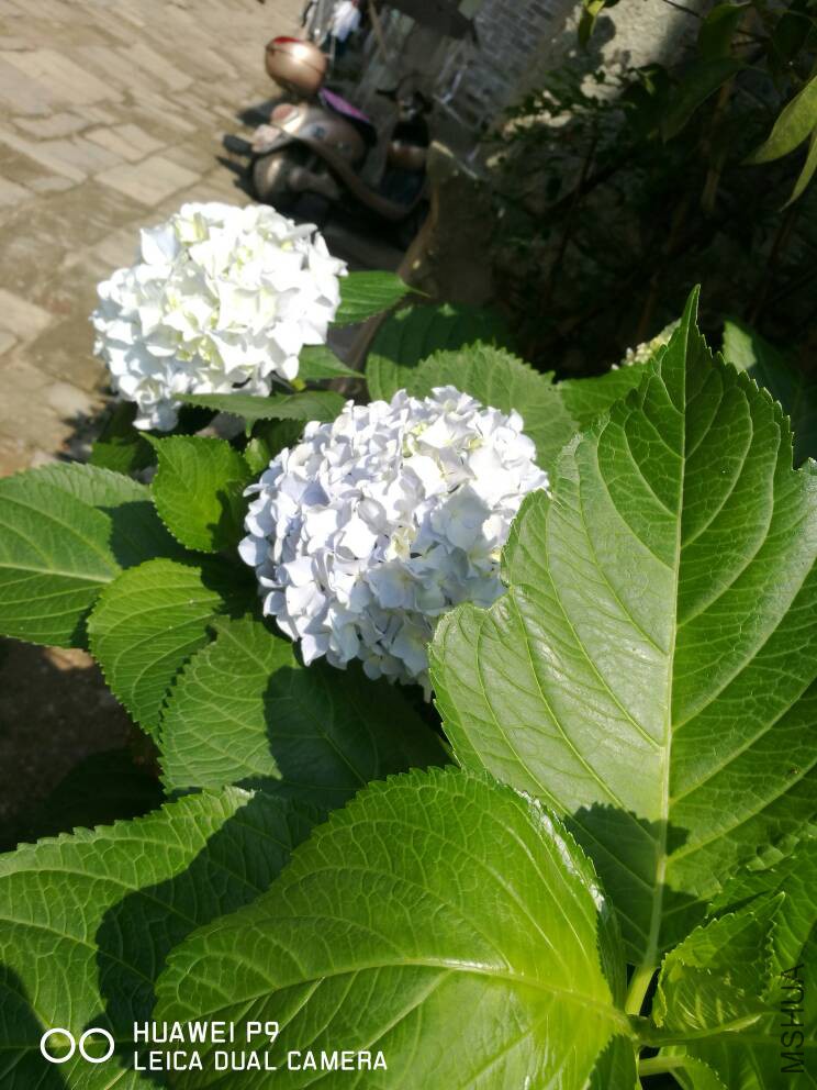 153132zirru6bsqrqrsb4a.jpg