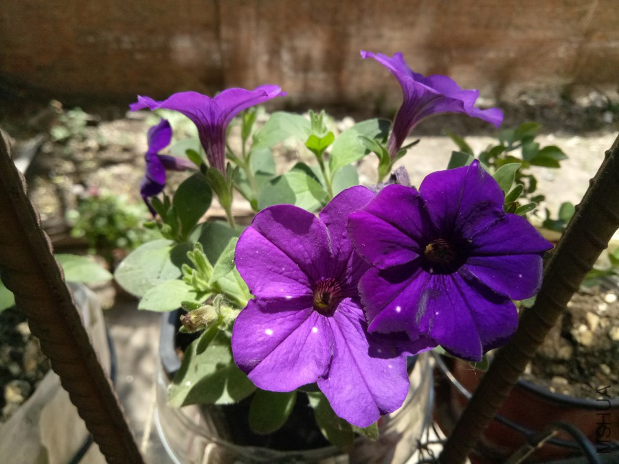 IMG20170525120055.jpg