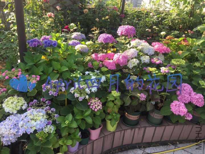 QQͼƬ20170526094802.jpg