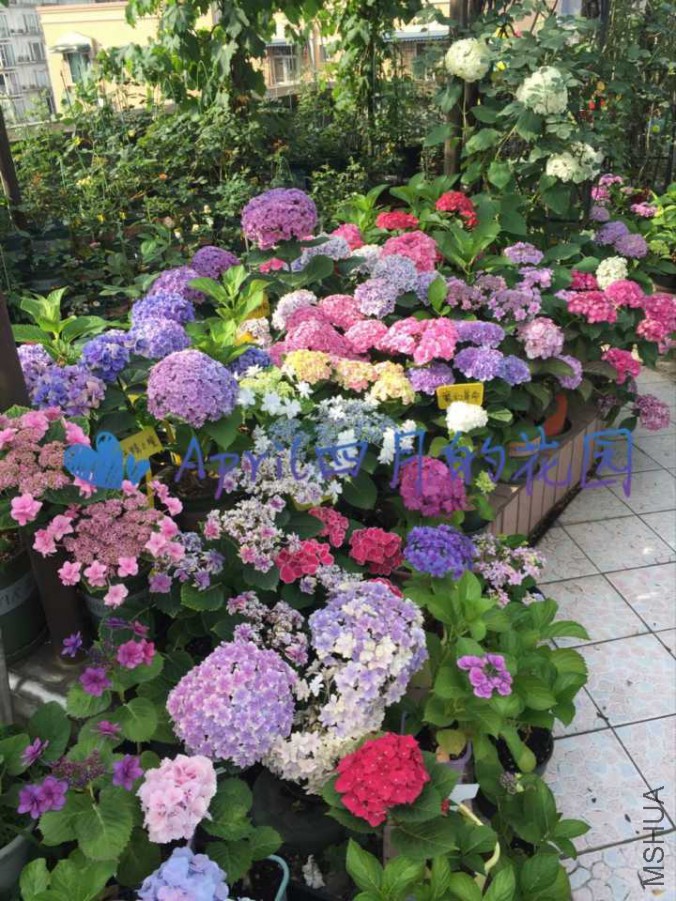 QQͼƬ20170526095123.jpg