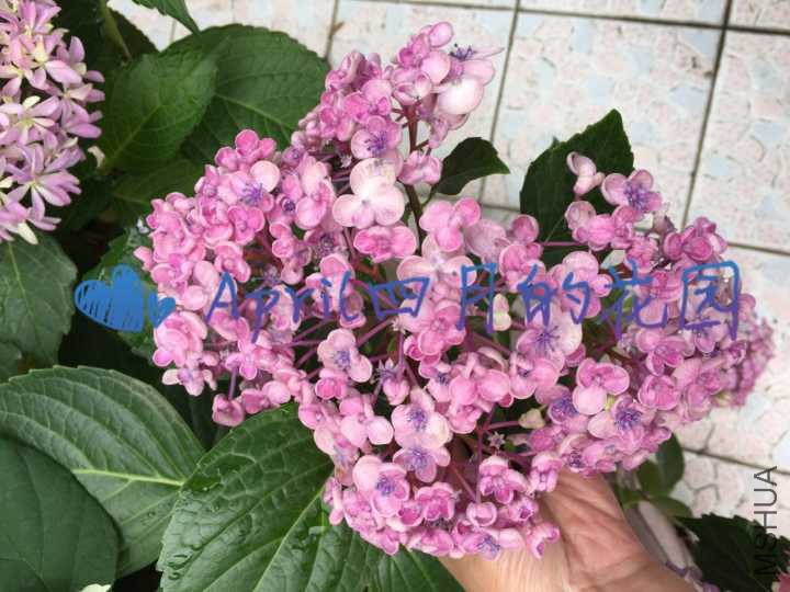 ��ɯ20170526094955.jpg
