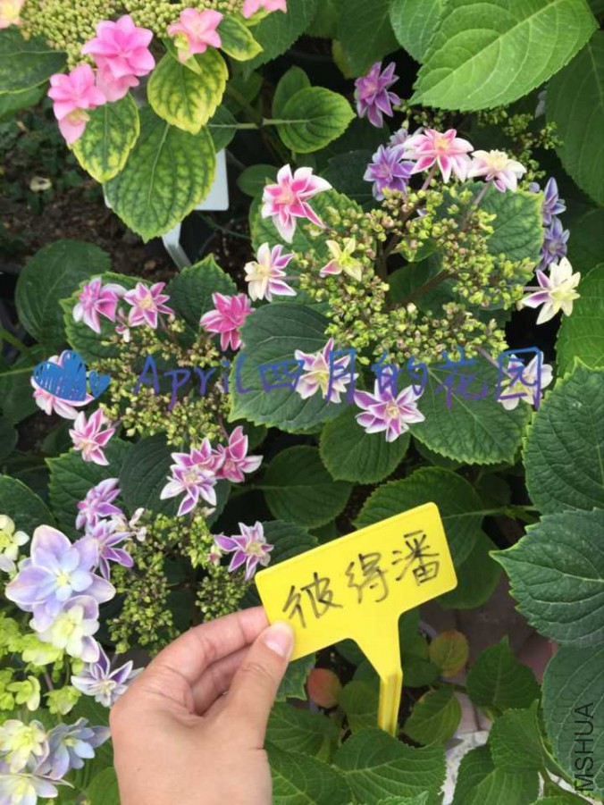 �˵���20170526094742.jpg