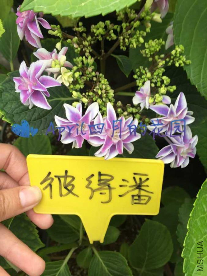 �˵���20170526094746.jpg