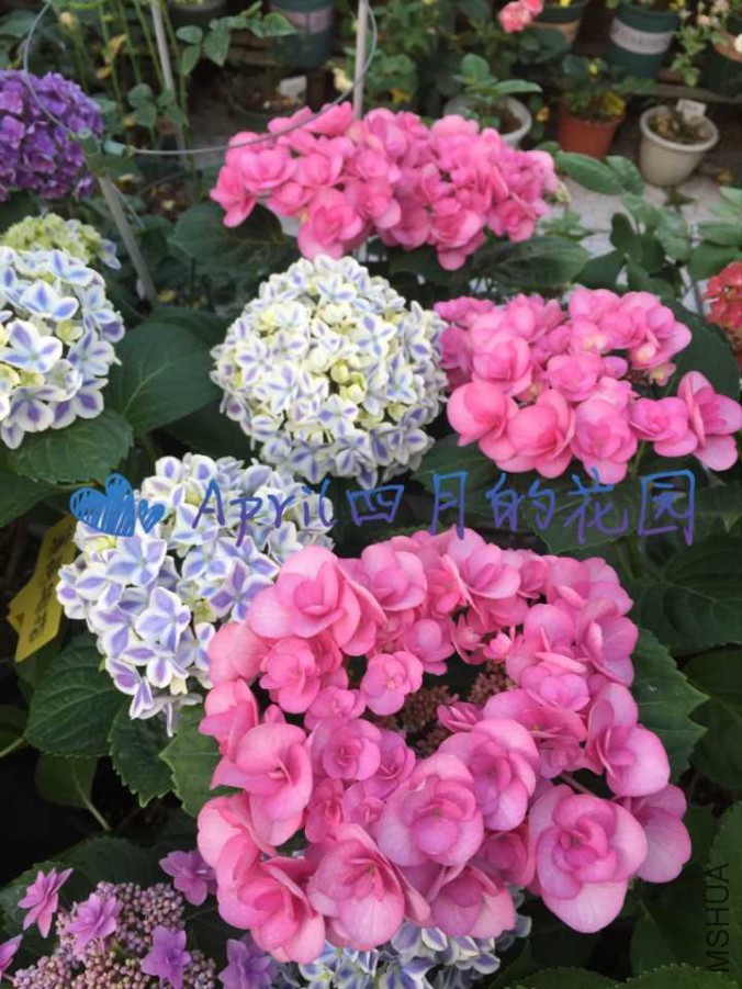 ����20170526094908.jpg