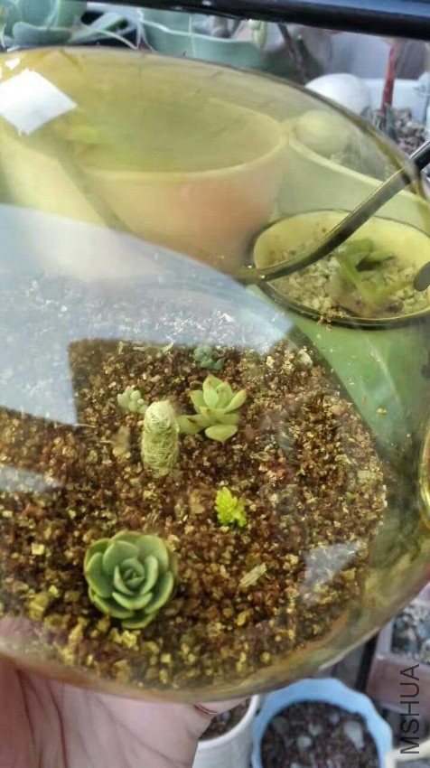 ���� ΢��ͼƬ_20170526151635.jpg