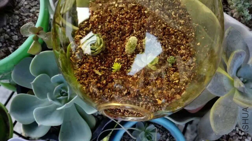 ���� ΢��ͼƬ_20170526151630.jpg