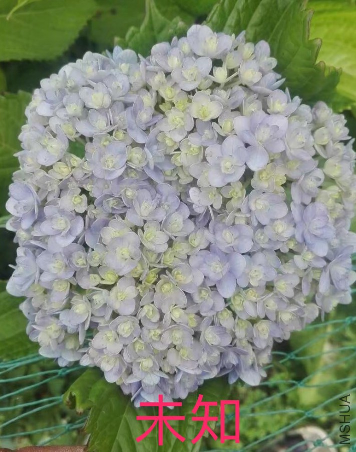 IMG_0709.PNG