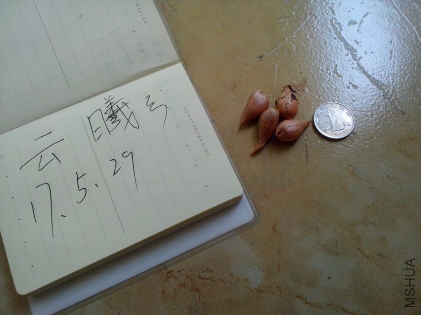 QQͼƬ20170529000617.jpg