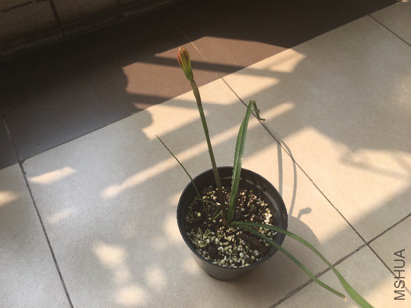 ����Ҫ����