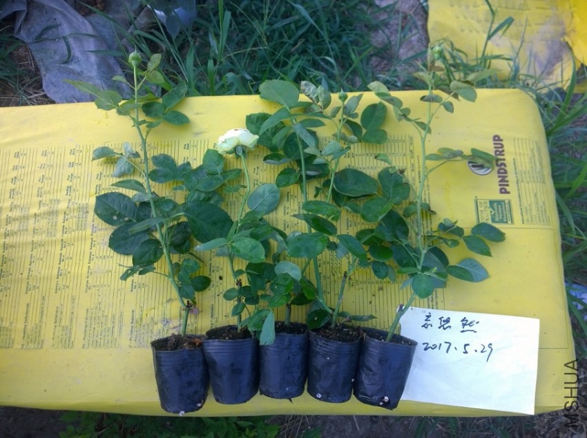 ��������