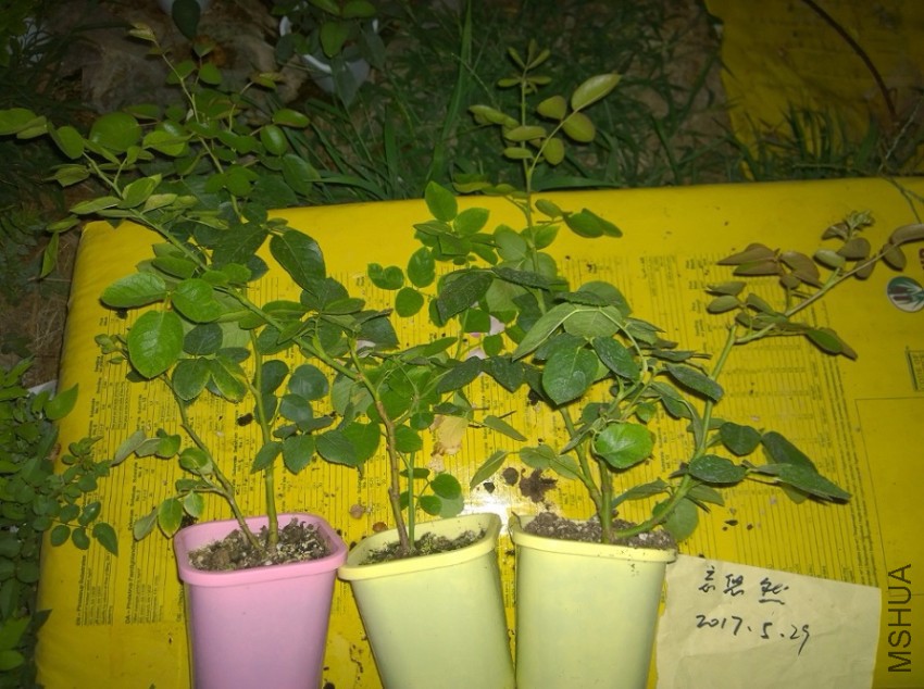 �ٲ���