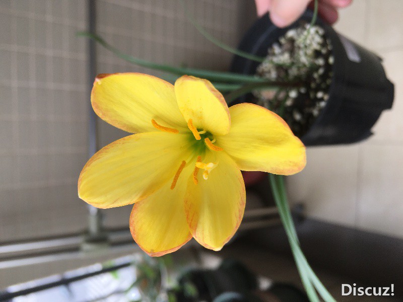 �����ڶ���ڵ��쿪����