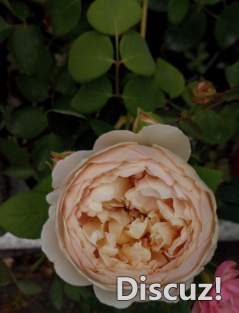 δ֪Ʒ��