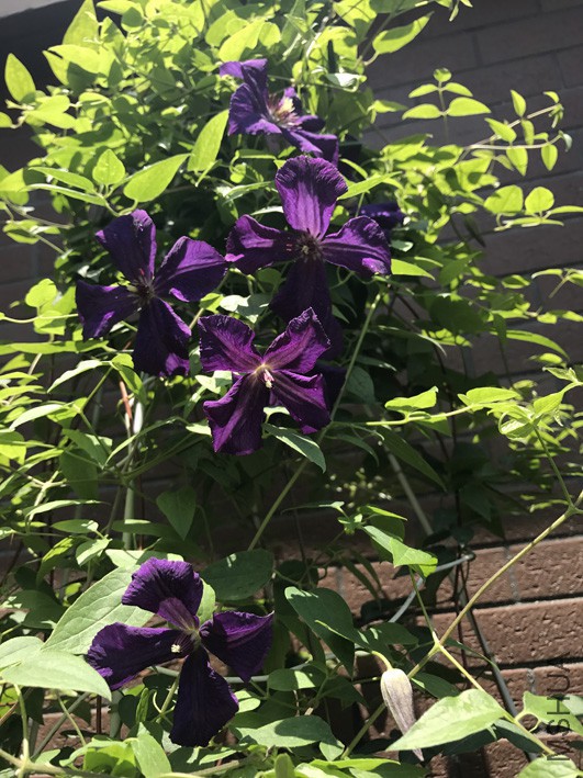 ��������