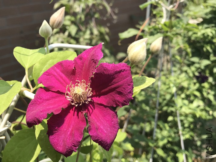 ��������