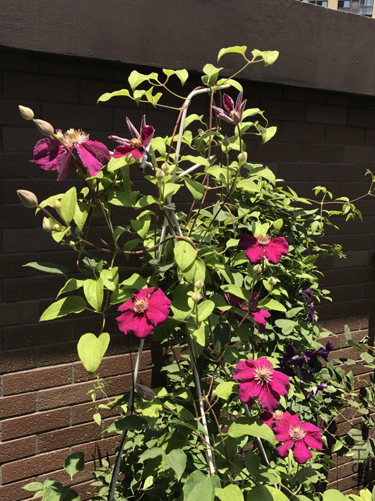 ��������