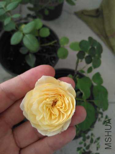 2017-06-02_15.15.51.jpg