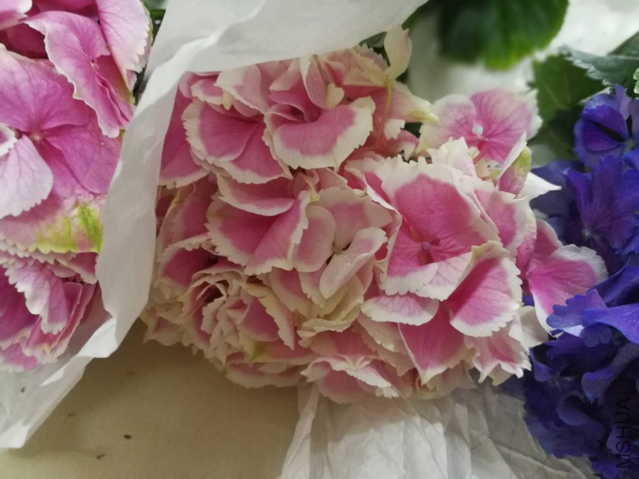 ΢��ͼƬ_20170602163845.jpg