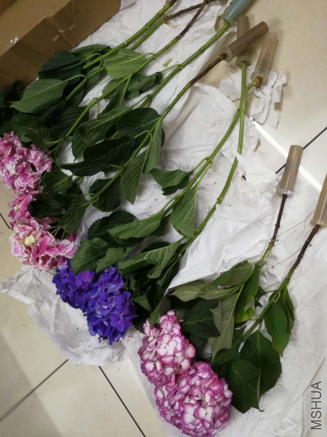 ΢��ͼƬ_20170602163919.jpg