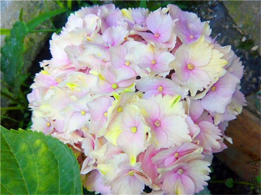 һ���ں���º���