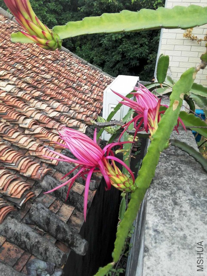 ΢��ͼƬ_20170603135903.jpg