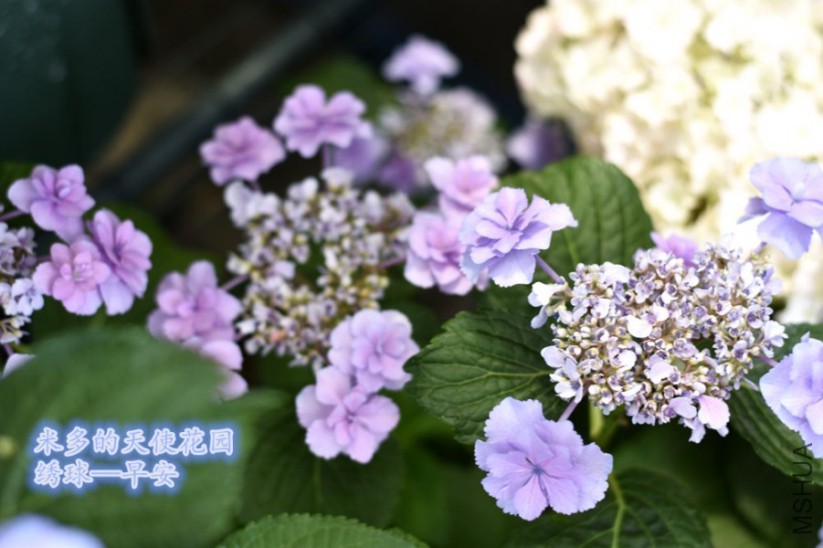 �簲3.jpg