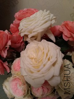 IMG_20170520_214937.jpg