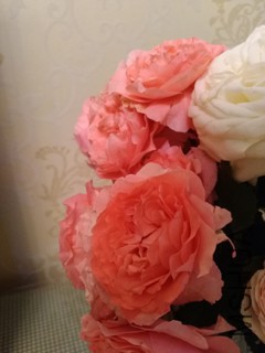 IMG_20170520_214954.jpg