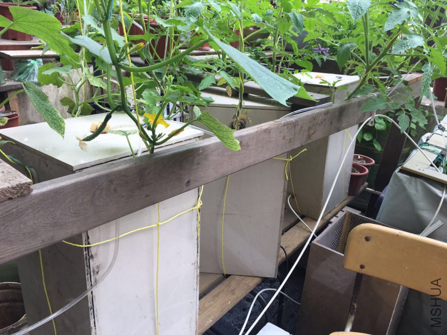 �ƹ��뷬��