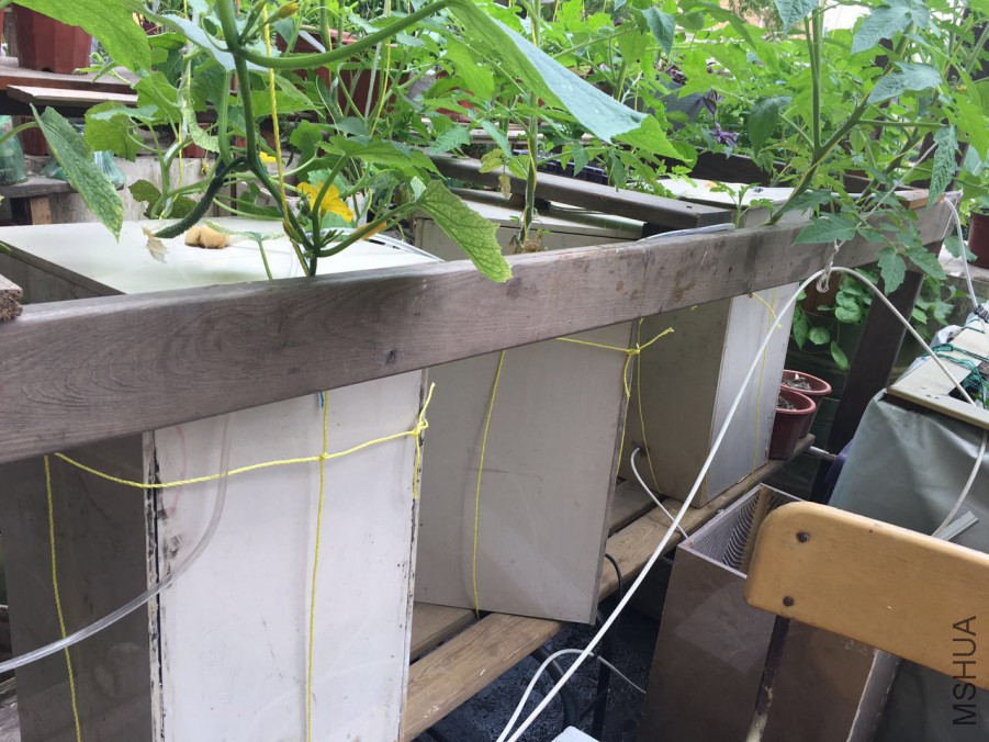 �ƹ��뷬��