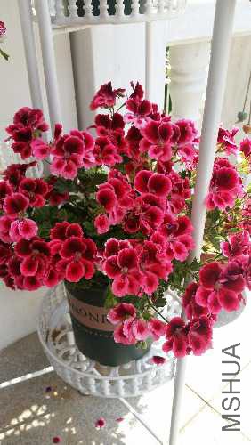 20170530_103016.jpg
