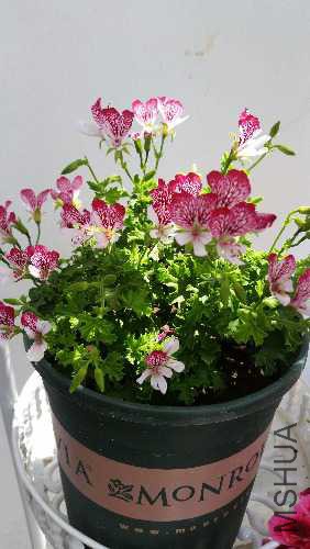 20170530_103001.jpg