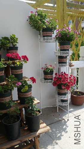 20170530_095954.jpg