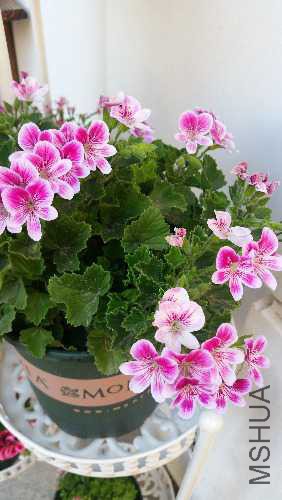 20170520_163945.jpg