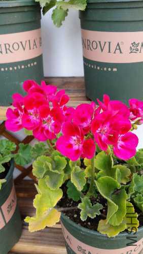 20170518_160846.jpg