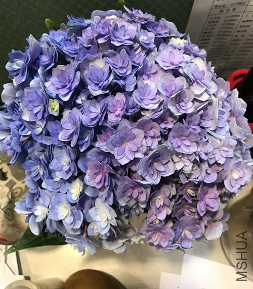 2017-06-05 154706_����_����_����_����.jpg