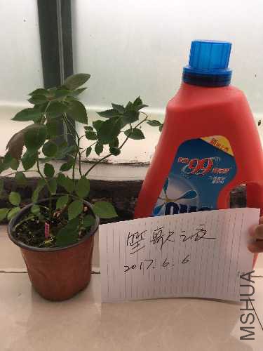 image.jpg